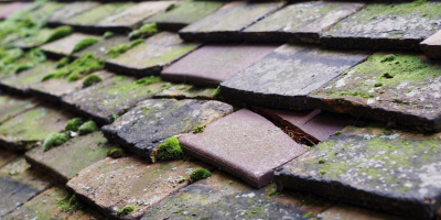 Stathern roof repair costs